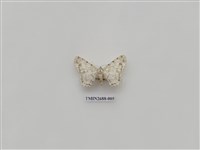 藏品(尺蛾233)的圖片